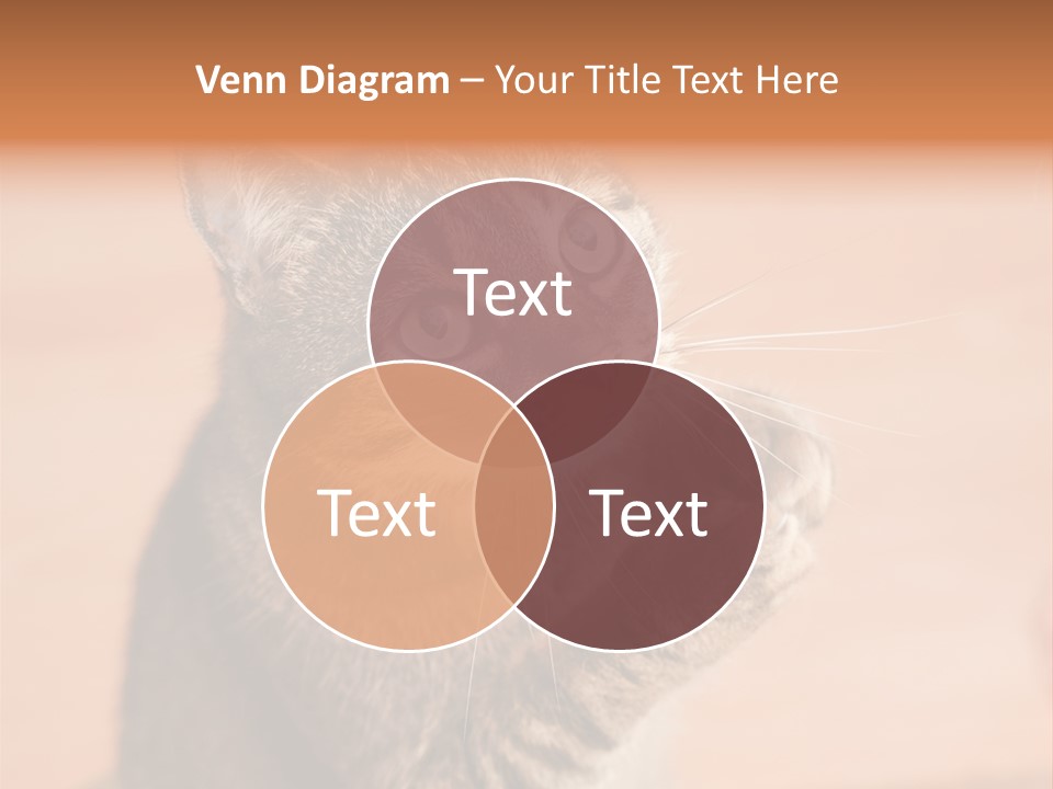 Eyes European Hat PowerPoint Template