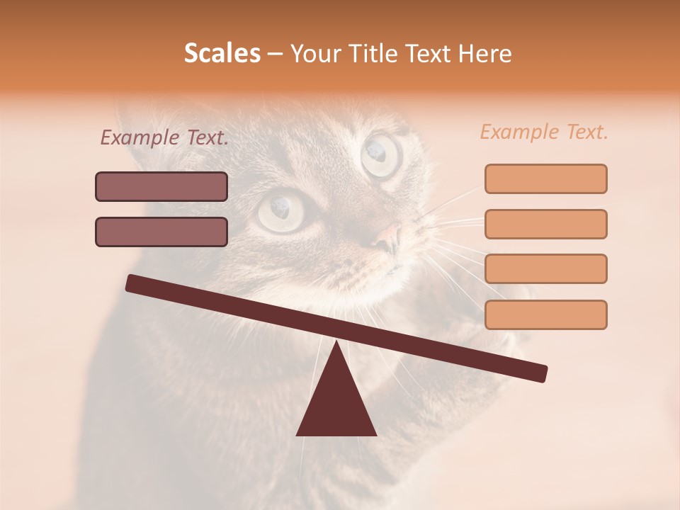 Eyes European Hat PowerPoint Template