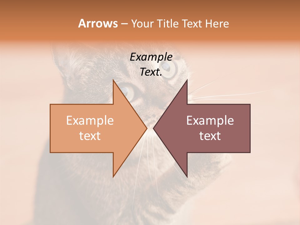 Eyes European Hat PowerPoint Template