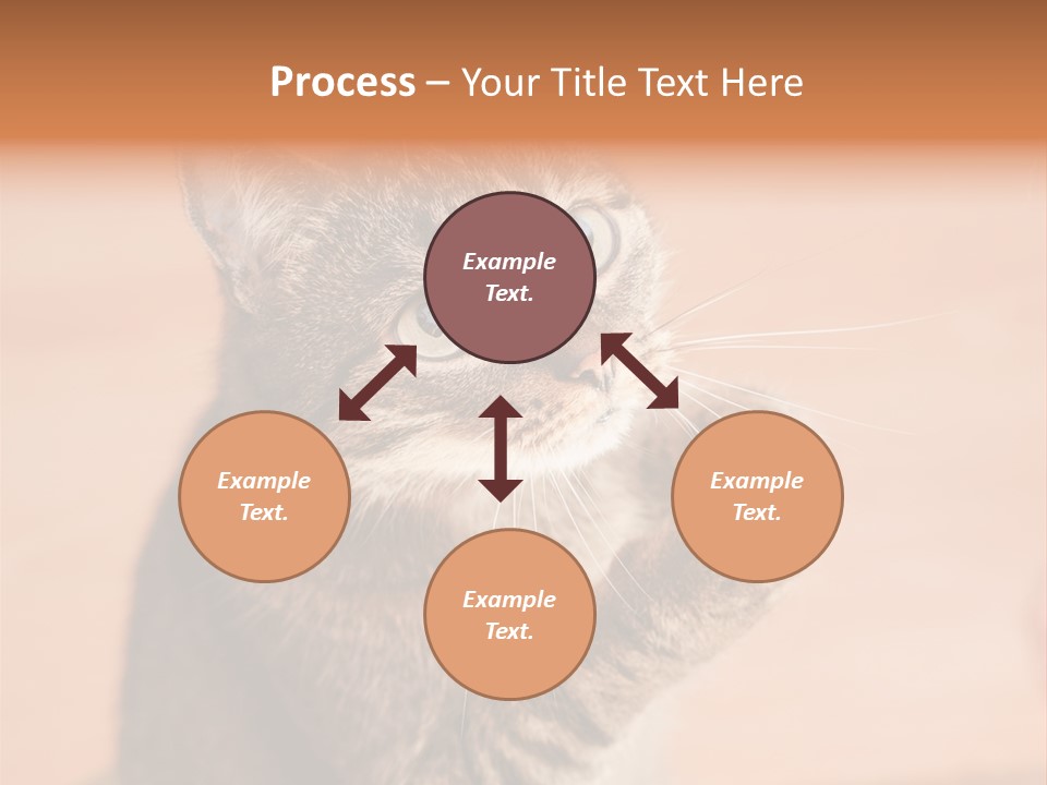 Eyes European Hat PowerPoint Template