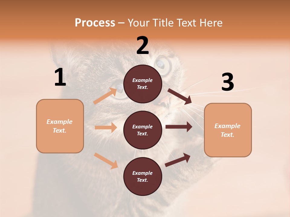 Eyes European Hat PowerPoint Template