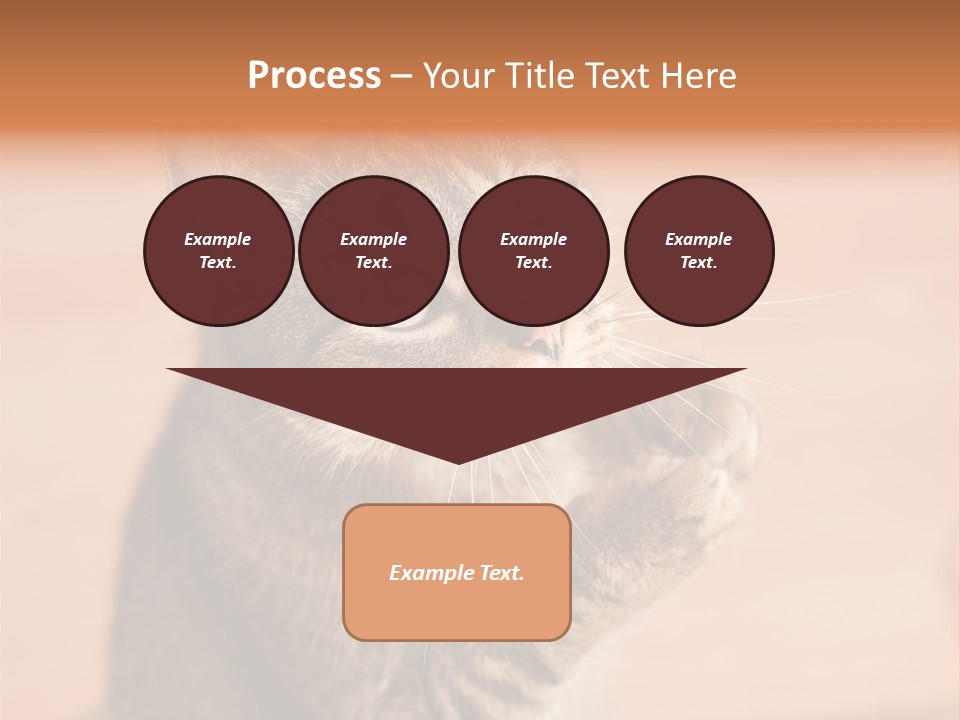 Eyes European Hat PowerPoint Template