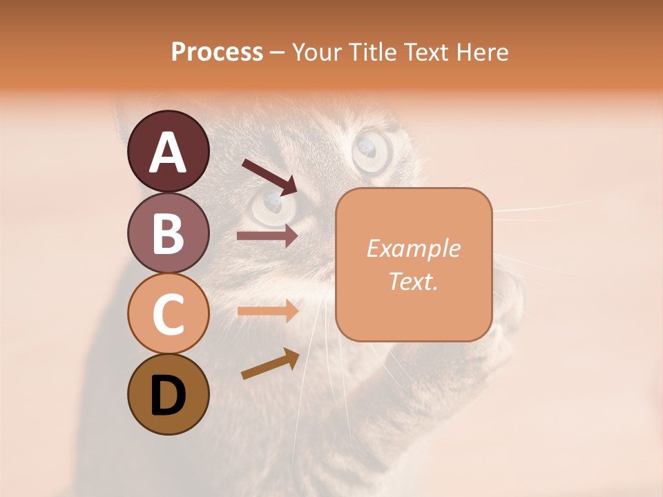 Eyes European Hat PowerPoint Template