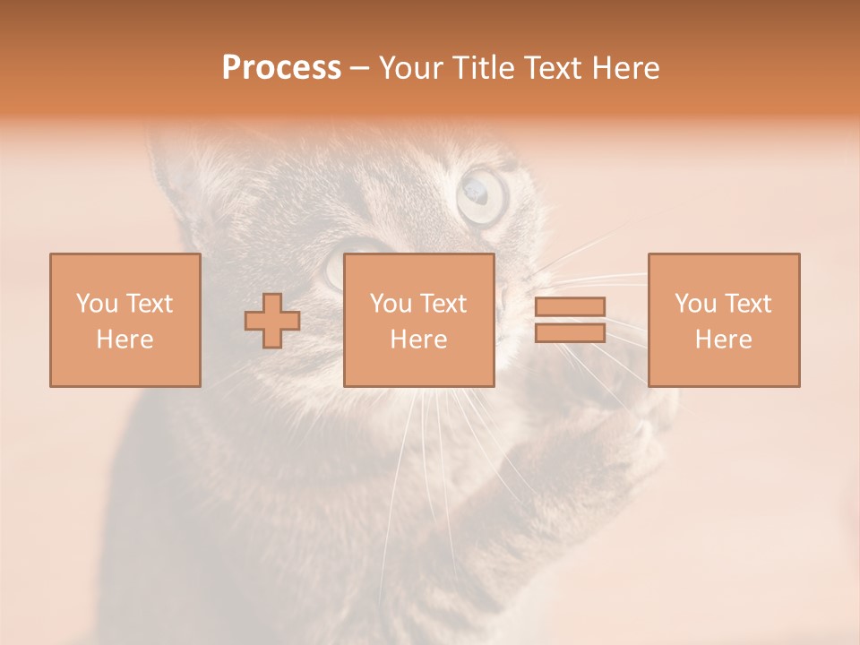 Eyes European Hat PowerPoint Template