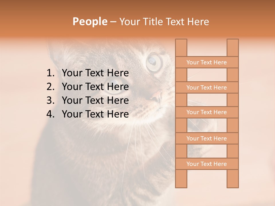 Eyes European Hat PowerPoint Template