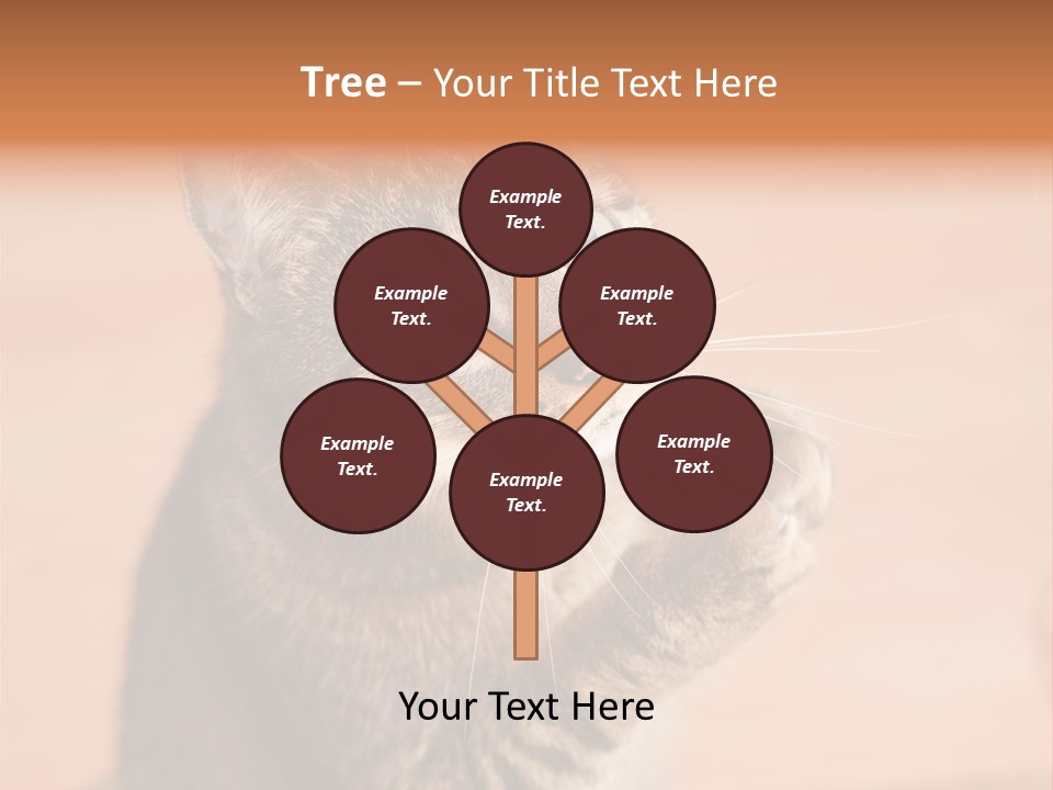 Eyes European Hat PowerPoint Template