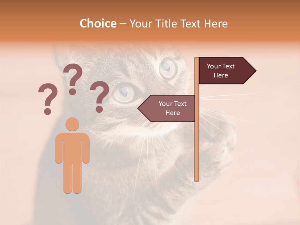 Eyes European Hat PowerPoint Template