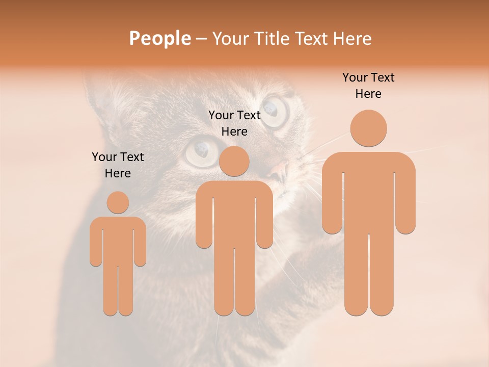 Eyes European Hat PowerPoint Template