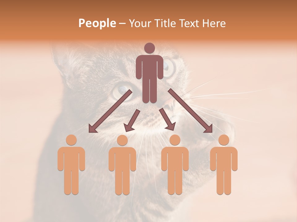 Eyes European Hat PowerPoint Template