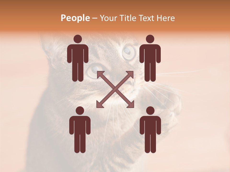 Eyes European Hat PowerPoint Template