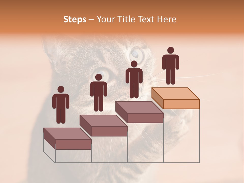 Eyes European Hat PowerPoint Template