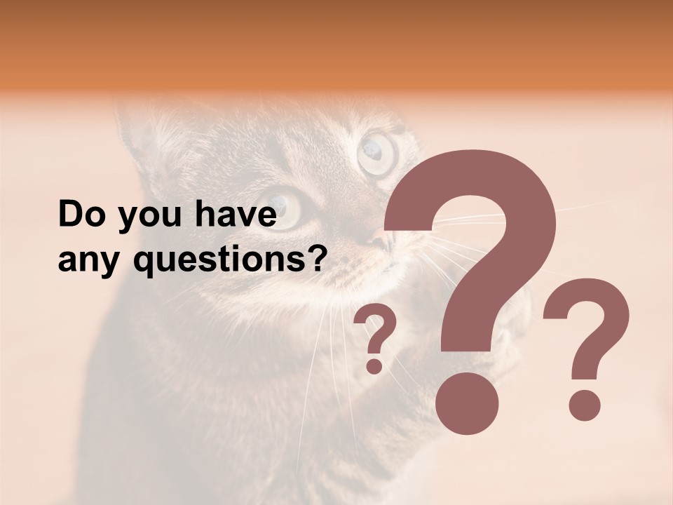 Eyes European Hat PowerPoint Template