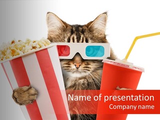Animal Audience Eye Wear PowerPoint Template