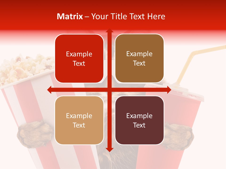 Animal Audience Eye Wear PowerPoint Template