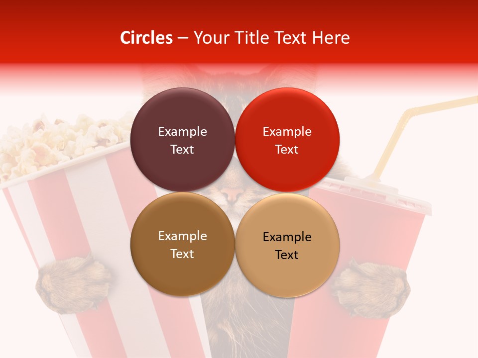 Animal Audience Eye Wear PowerPoint Template