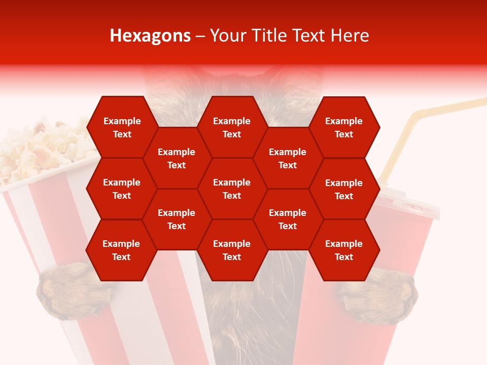 Animal Audience Eye Wear PowerPoint Template