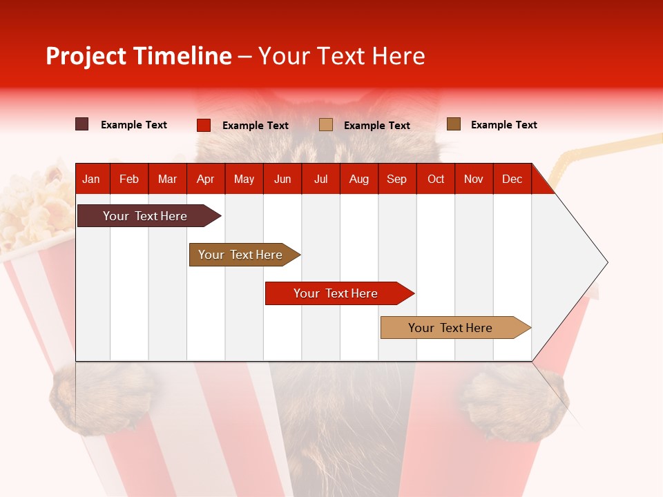 Animal Audience Eye Wear PowerPoint Template