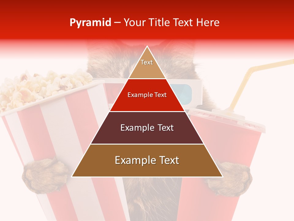 Animal Audience Eye Wear PowerPoint Template