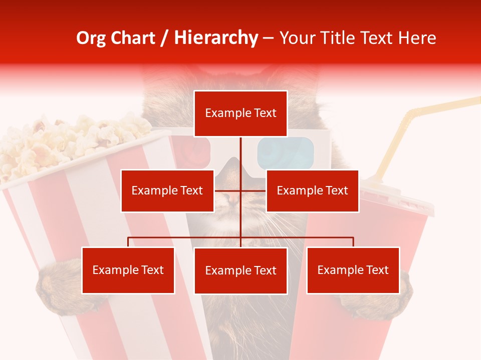 Animal Audience Eye Wear PowerPoint Template