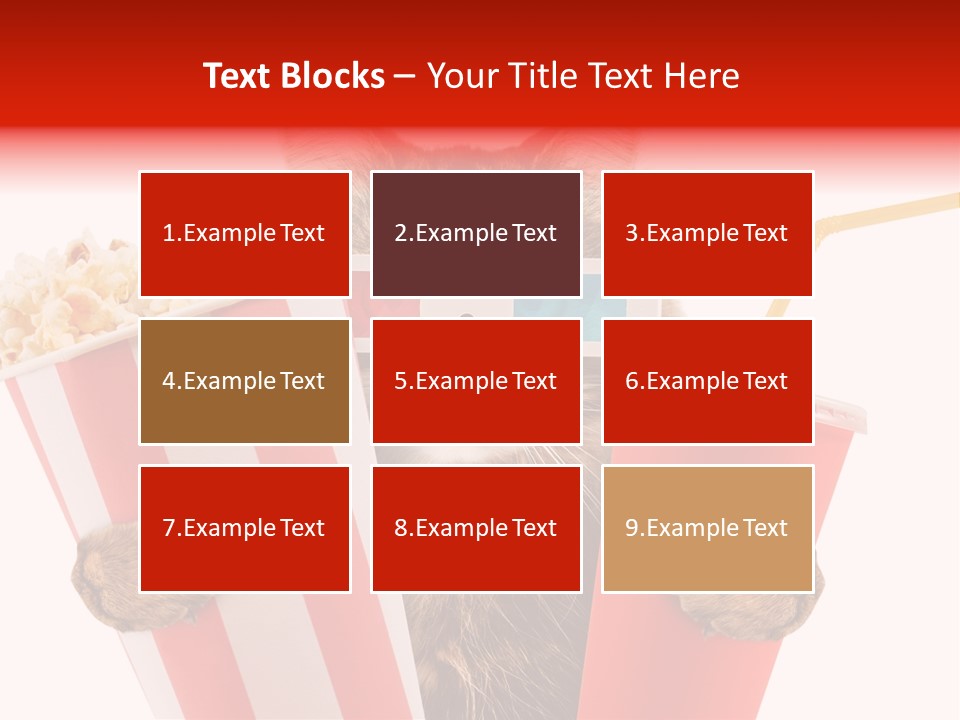 Animal Audience Eye Wear PowerPoint Template