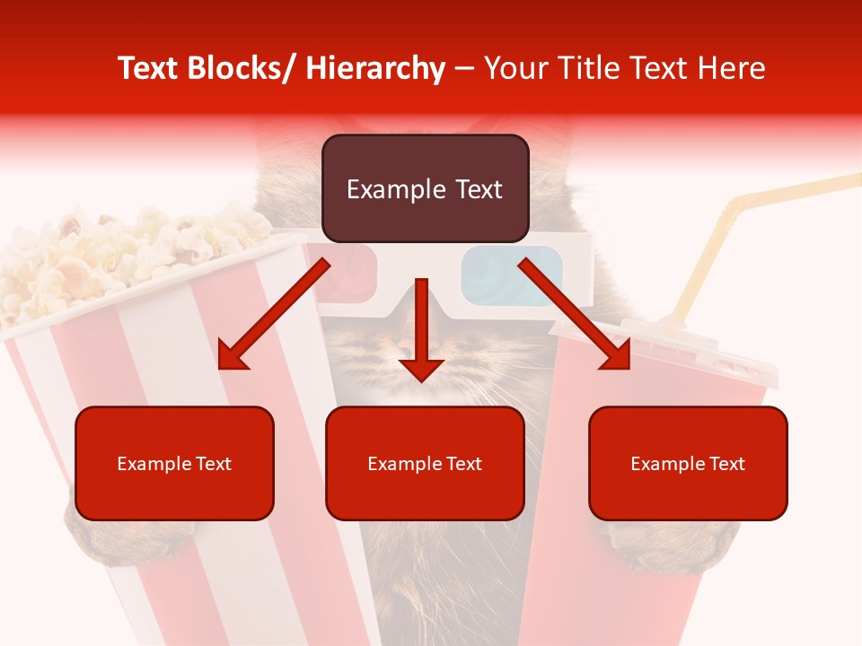 Animal Audience Eye Wear PowerPoint Template