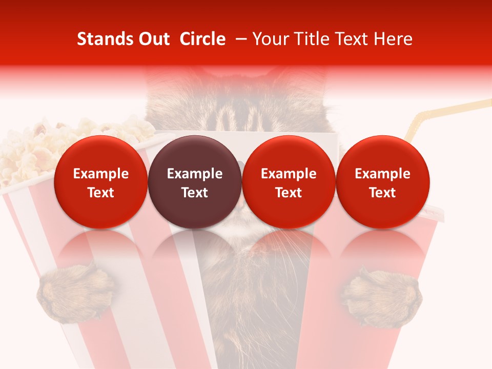 Animal Audience Eye Wear PowerPoint Template