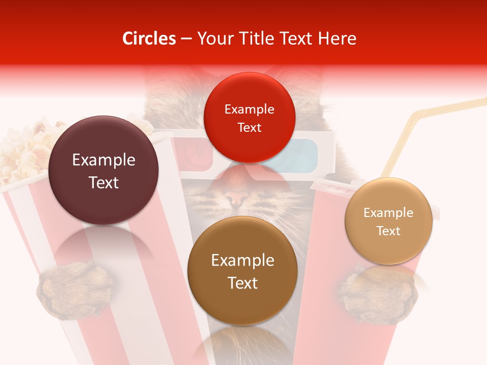 Animal Audience Eye Wear PowerPoint Template