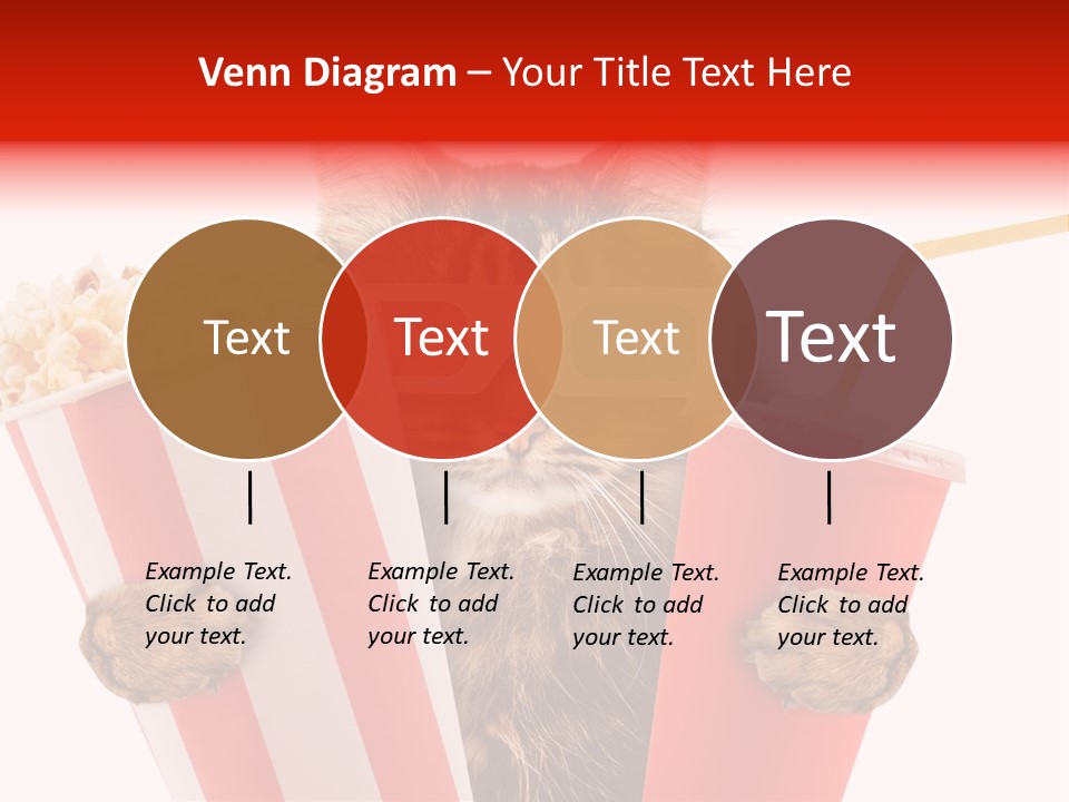 Animal Audience Eye Wear PowerPoint Template