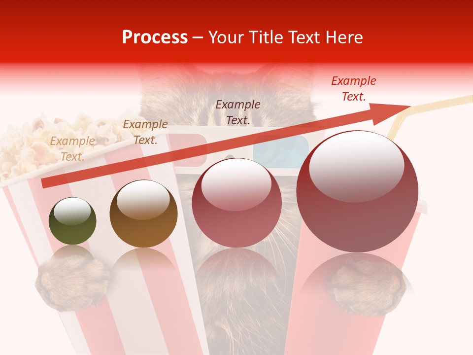 Animal Audience Eye Wear PowerPoint Template