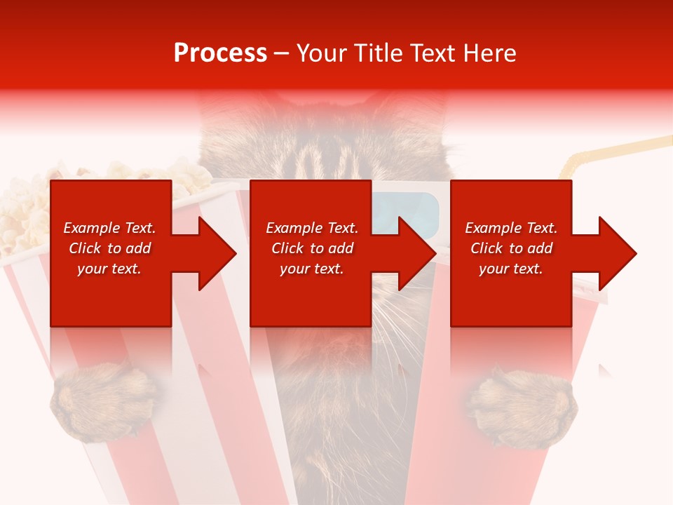 Animal Audience Eye Wear PowerPoint Template