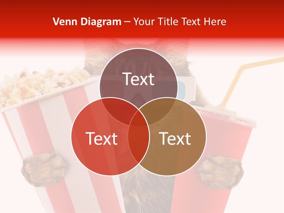 Animal Audience Eye Wear PowerPoint Template