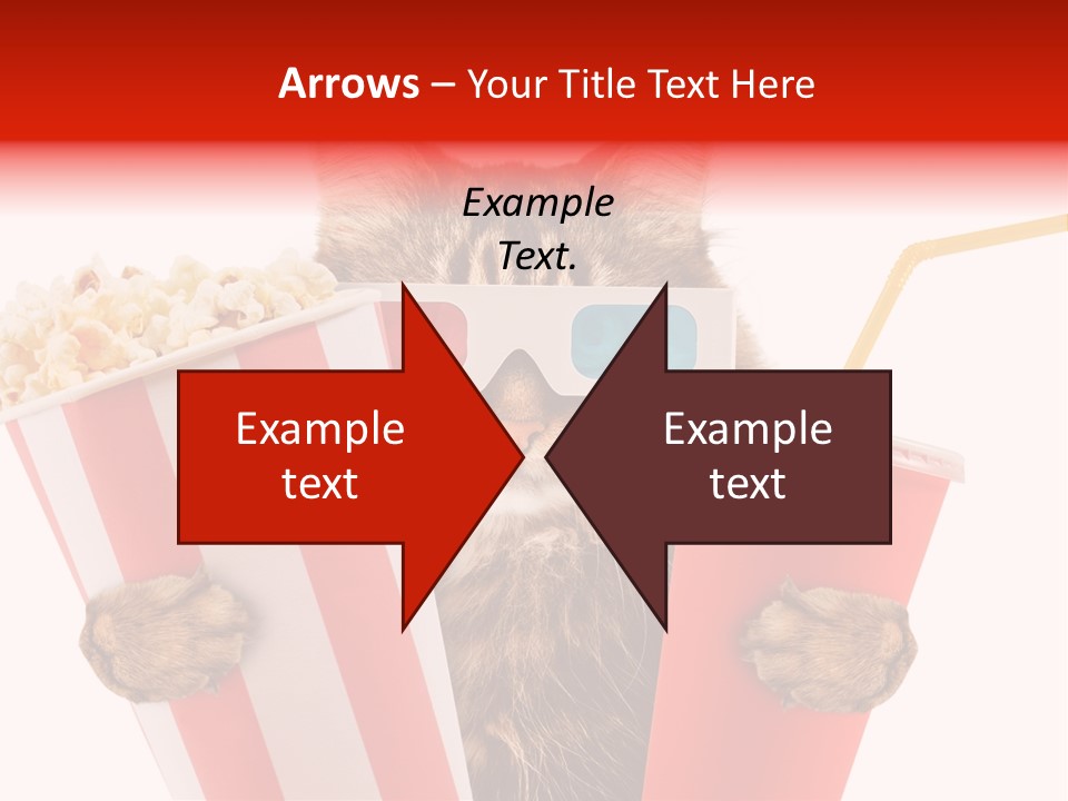 Animal Audience Eye Wear PowerPoint Template