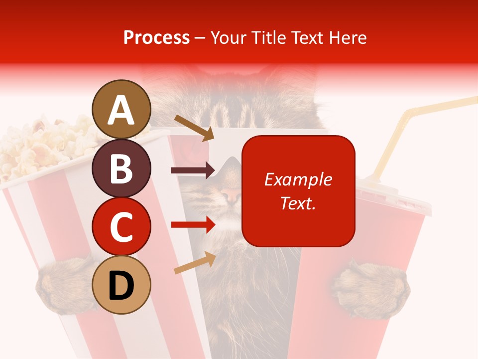 Animal Audience Eye Wear PowerPoint Template