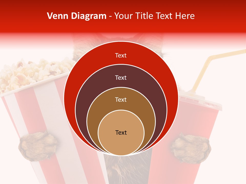 Animal Audience Eye Wear PowerPoint Template