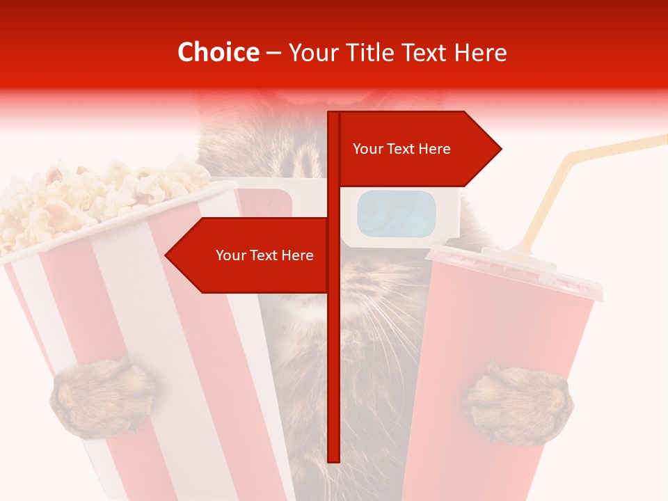 Animal Audience Eye Wear PowerPoint Template