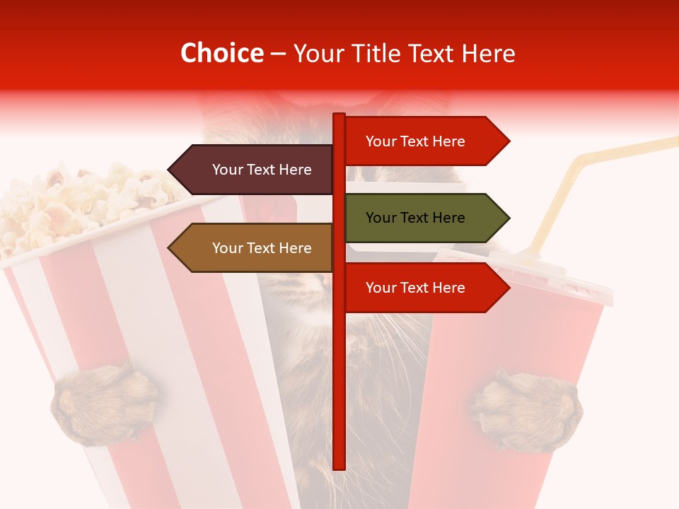 Animal Audience Eye Wear PowerPoint Template