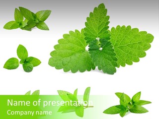 Cook Peppermint Lemon PowerPoint Template