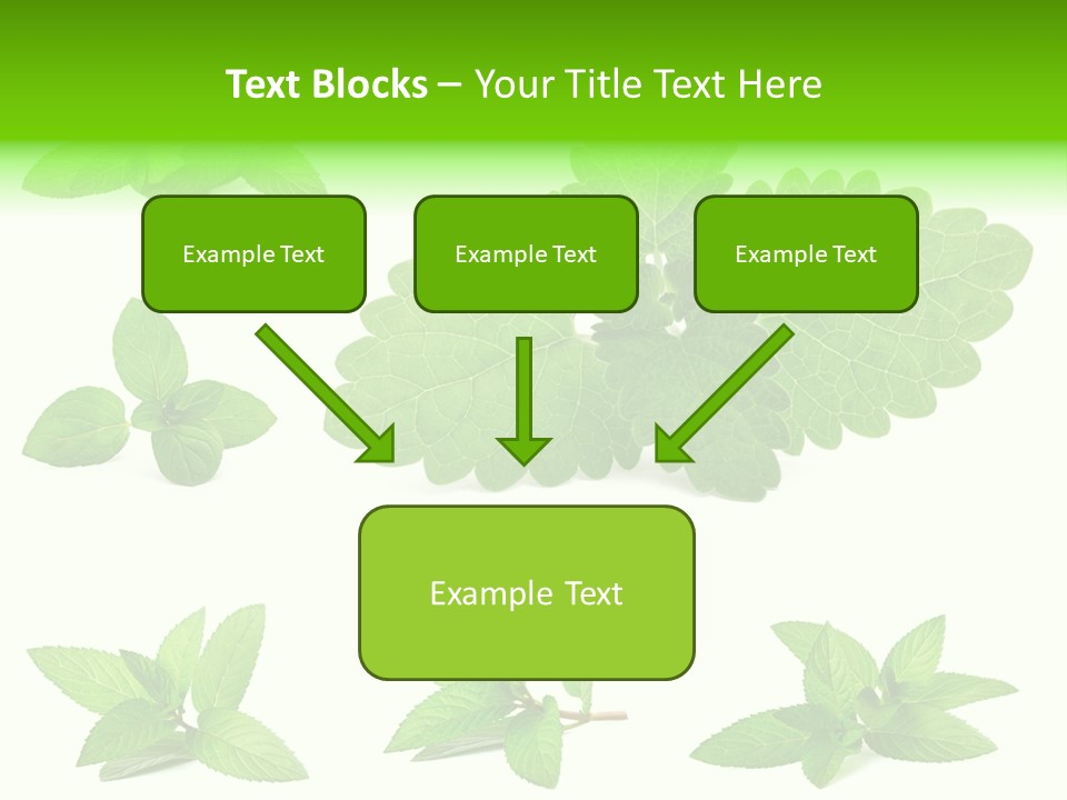 Cook Peppermint Lemon PowerPoint Template