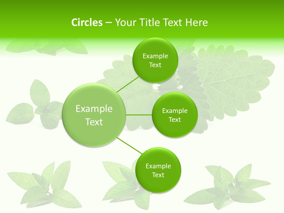 Cook Peppermint Lemon PowerPoint Template