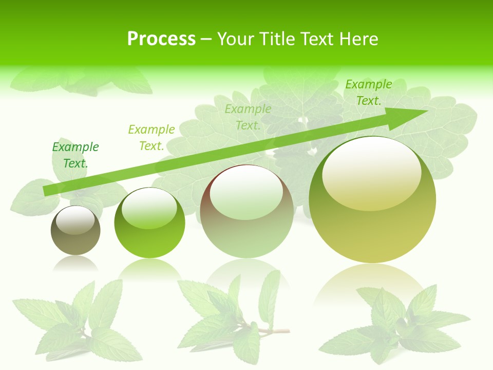 Cook Peppermint Lemon PowerPoint Template