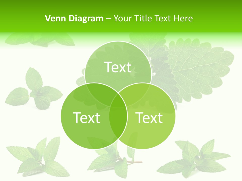 Cook Peppermint Lemon PowerPoint Template