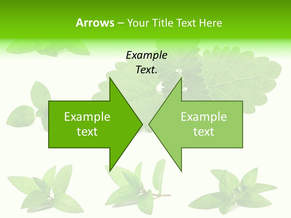 Cook Peppermint Lemon PowerPoint Template