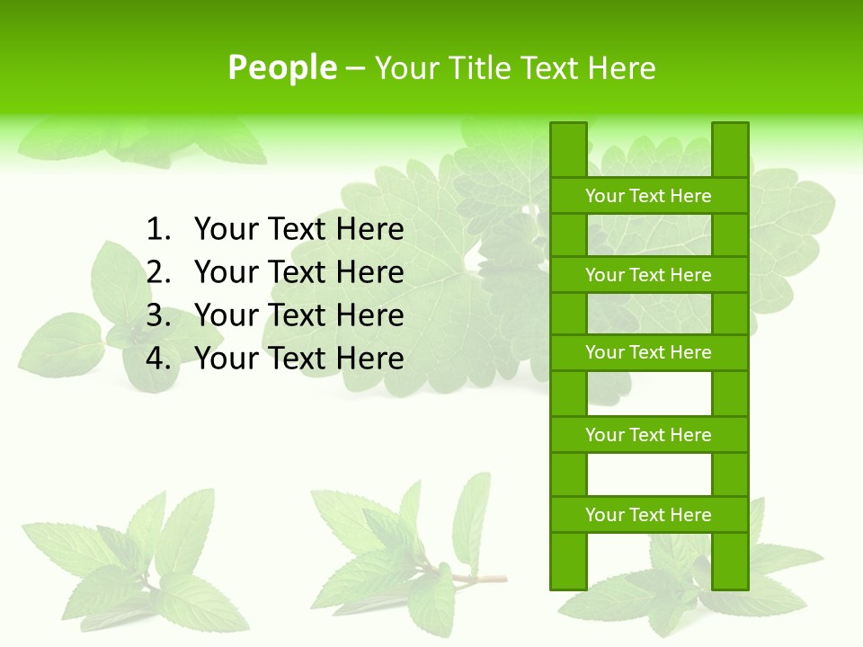 Cook Peppermint Lemon PowerPoint Template