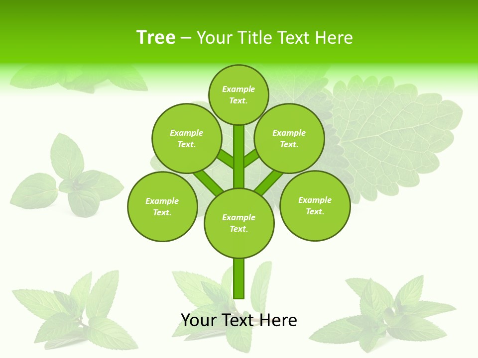 Cook Peppermint Lemon PowerPoint Template