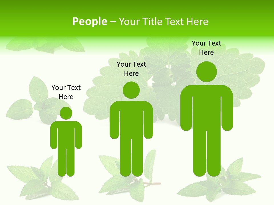 Cook Peppermint Lemon PowerPoint Template