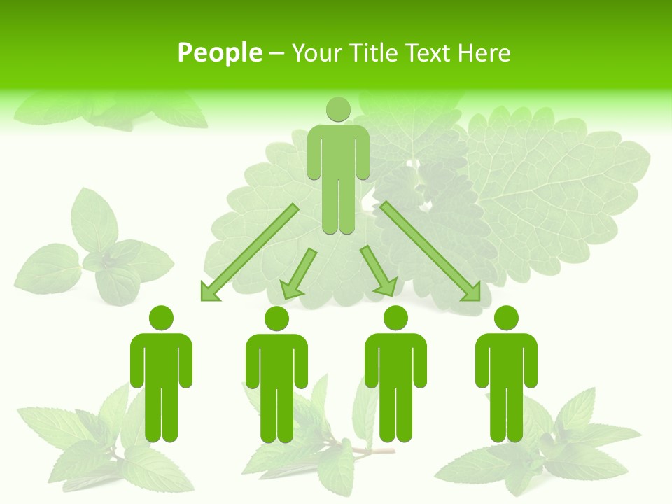 Cook Peppermint Lemon PowerPoint Template