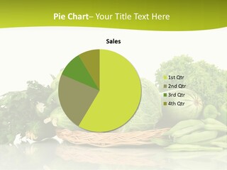 Lifestyle Lightweight Bean PowerPoint Template