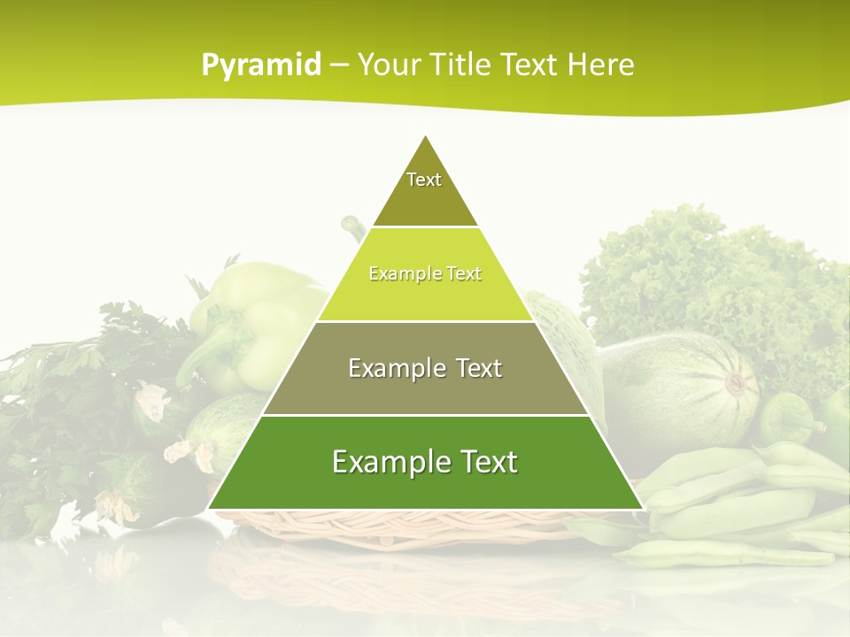 Lifestyle Lightweight Bean PowerPoint Template