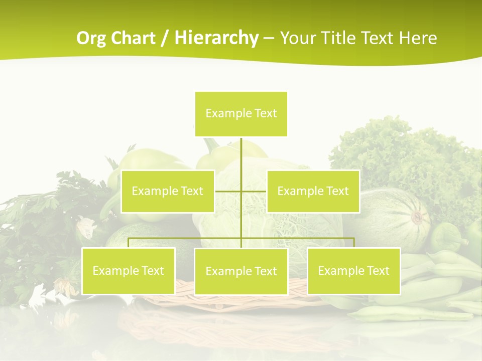 Lifestyle Lightweight Bean PowerPoint Template