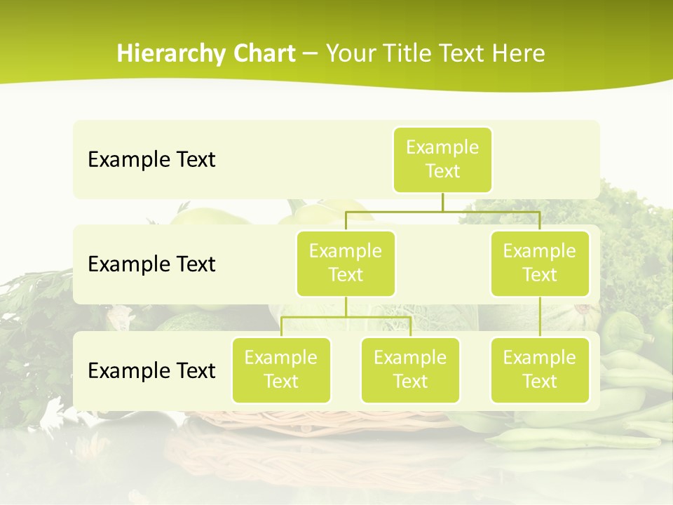 Lifestyle Lightweight Bean PowerPoint Template